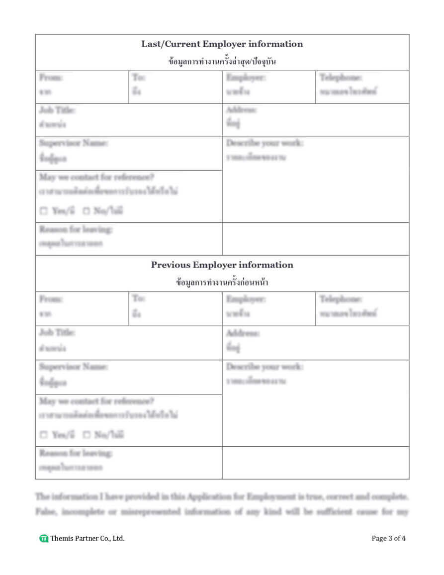 Employment application preview 3