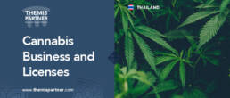 cannabis business thailand