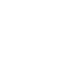 Logo Themis Partner Black