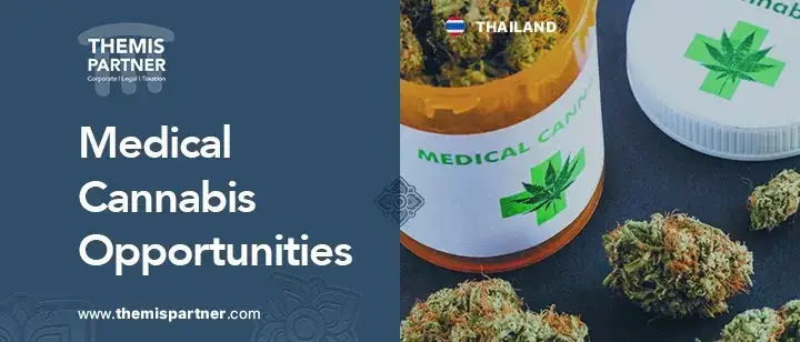Medical cannabis Thailand market trends regulations investment opportunities entrepreneurs investors