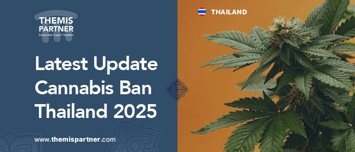 Thailand cannabis ban 2025 compliance checklist