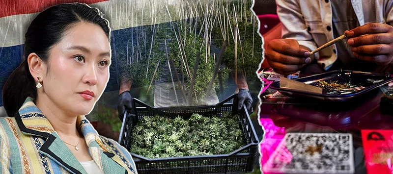 Thailand prime minister announcing new cannabis law 2025